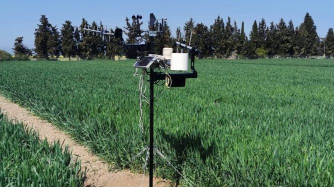 تجربة جندوبة