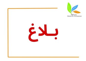 وزارة البيئة تنشر معطيات حول السفينة التجارية XELO
