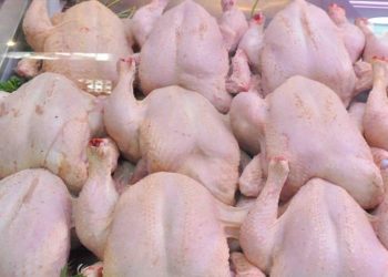 المرصد الوطني للفلاحة : إرتفاع سعر لحم الدجاج بنسبة 14.1 %