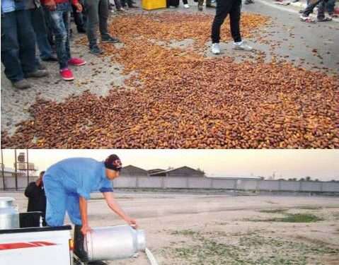 احتجاج فلاحين