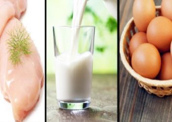 ابتداء من 12 ماي : الترفيع في أسعار الحليب والبيض و الدواجن