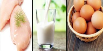 ابتداء من 12 ماي : الترفيع في أسعار الحليب والبيض و الدواجن