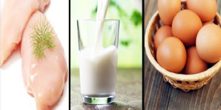 ابتداء من 12 ماي : الترفيع في أسعار الحليب والبيض و الدواجن