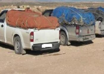 قيمتها 180 ألف دينار: إحباط عمليات تهريب في كل من برج العامري ووذرف