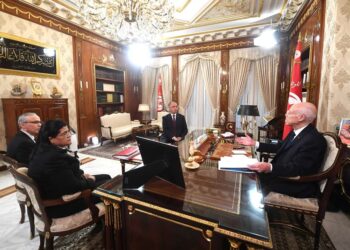 قيس سعيد: “فقط في تونس الاستثمار يتمثل في إنشاء المؤسسات وليس في خلق الثروة”