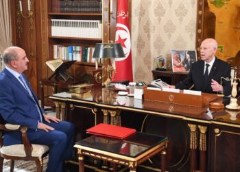 قيس سعيد يدعو إلى تذليل الصعوبات أمام التونسيين بالخارج