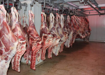 استعدادا لشهر رمضان: قريبا شركة اللحوم تفتتح 4 نقاط بيع للحوم الحمراء