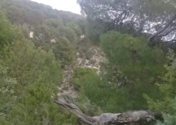 جبال القصرين: العثور على الطفل ريان المفقود منذ يومين