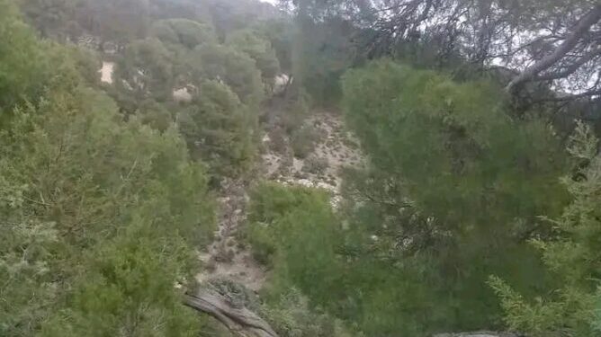 جبال القصرين: العثور على الطفل ريان المفقود منذ يومين