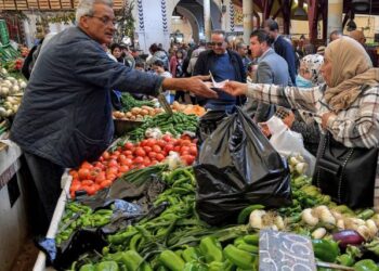 يتميز بأسعار تراعي المقدرة الشرائية: اتحاد الفلاحة يطلق “سوق الفلاح”