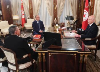 قيس سعيد يدعو الى تشغيل حاملي شهادة الدكتوراه في المؤسسات التي تشكو نقصا