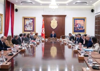 وزيرة الصناعة تكشف عن أسباب تعطل البحث والتنقيب عن الغاز والنفط في تونس