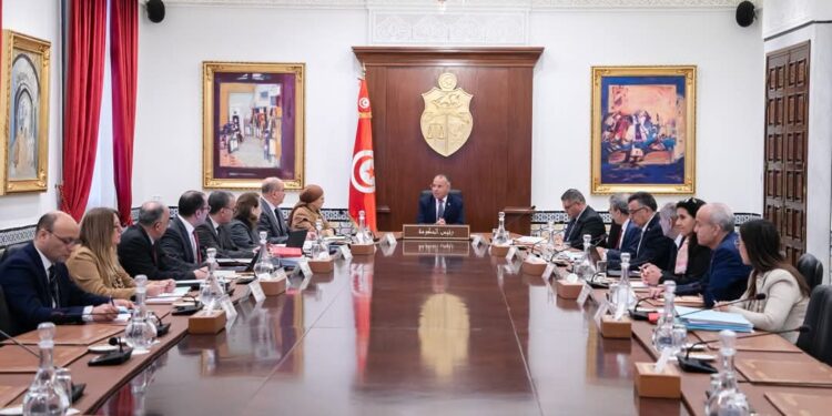 وزيرة الصناعة تكشف عن أسباب تعطل البحث والتنقيب عن الغاز والنفط في تونس