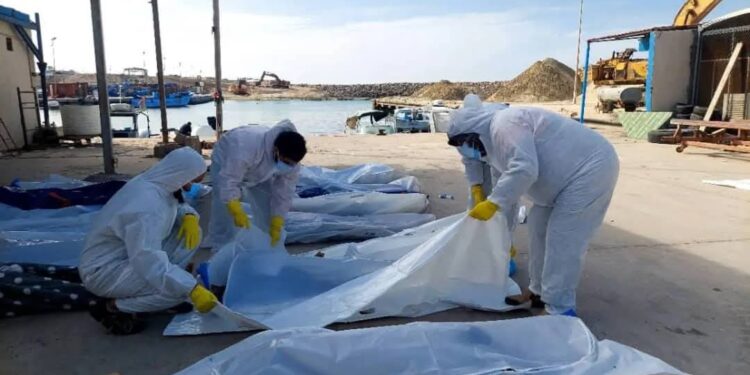 الكشف عن مقبرتين جماعيتين في ليبيا تحتويان على العشرات من الجثث