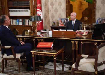 قيس سعيد: نحو انتداب 5 الاف دكتور باحث في مرحلة أولى