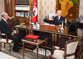 سعيّد يدعو إلى مضاعفة الاتصالات الدبلوماسية لاسترجاع الأموال المنهوبة بالخارج