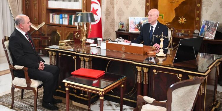 سعيّد يدعو إلى مضاعفة الاتصالات الدبلوماسية لاسترجاع الأموال المنهوبة بالخارج