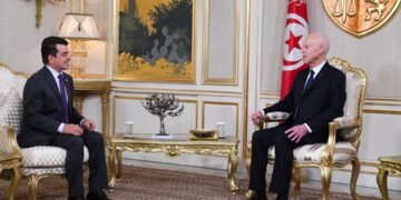 قيس سعيد يطالب باسترجاع القطع الأثرية المنهوبة