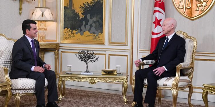 قيس سعيد يطالب باسترجاع القطع الأثرية المنهوبة