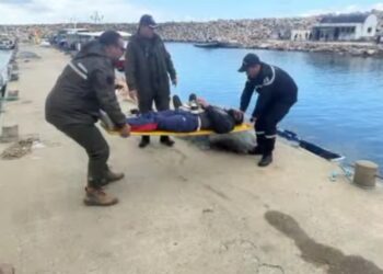 سيدي مشرق:  إنقاذ 7 مهاجرين غير نظاميين من جنسية أجنبية