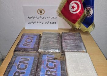 معبر ذهيبة: تونسي حاول إدخال مخدر الكوكايين وسط أكياس من المواد الغذائية