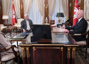 قيس سعيد: “الشركات الأهلية يمكن أن تحوّل كلّ جهات الجمهوريّة الى مصادر للثّروة”