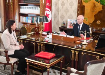 قيس سعيد: دولة المؤسسات لا تعني تعدّدها ولا جدوى من تشريعات تُولد من رحم تشريعات لفظها الشعب