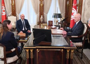 قيس سعيد:  يجب وضع حدّ نهائي  لظاهرة المهاجرين غير النظاميين غير المقبولة”