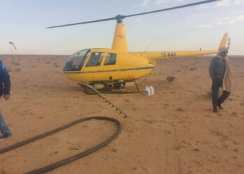 مداواة 930 هكتارا في حملة مكافحة الجراد الصحراوي