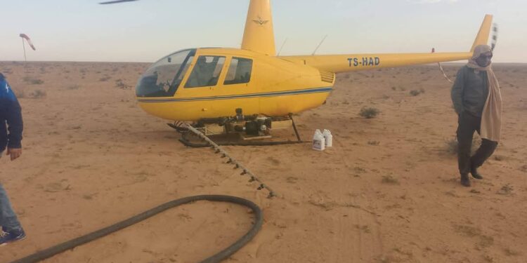 مداواة 930 هكتارا في حملة مكافحة الجراد الصحراوي