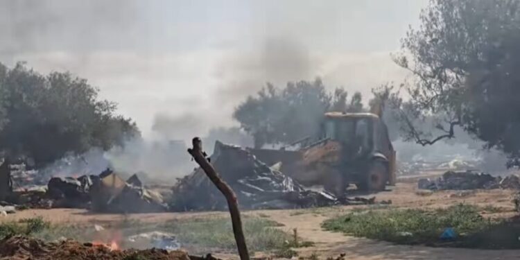 العامرة: هدم وتنظيف مخيمات المهاجرين غير النظاميين من هنشير بن فرحات